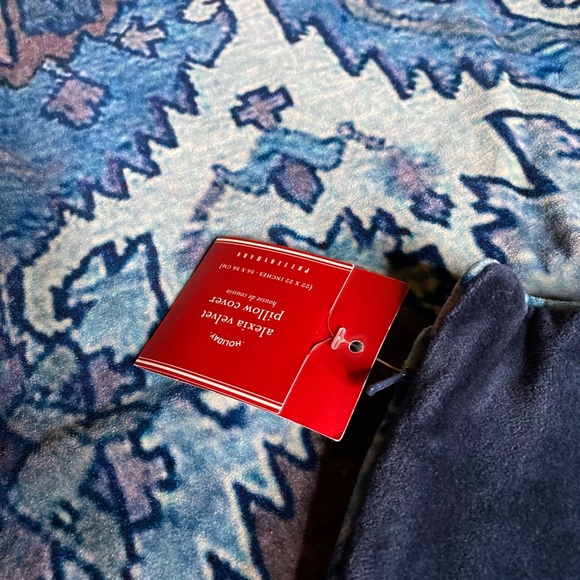 Pottery Barn Soft Velvet Alexia Pillow Cover - Picture 7 of 10